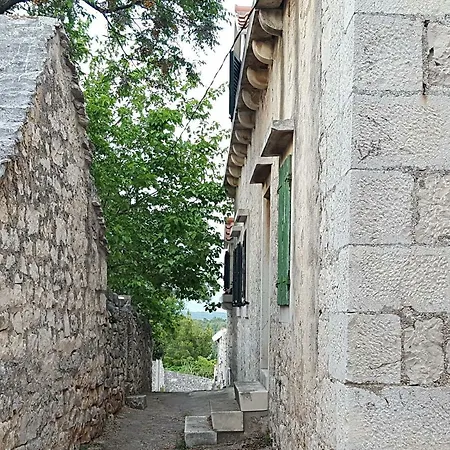 Shiraz * Selca (Brac)